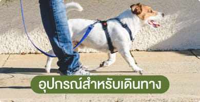 ปลอกคอ & สายจูง & ที่ครอบปาก